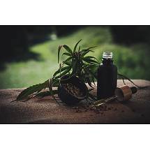 BIO Konopný olej CBG 10%, 10ml