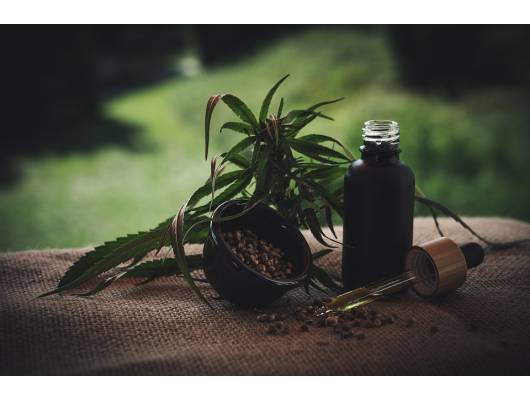 BIO Konopný olej CBG 10%, 10ml