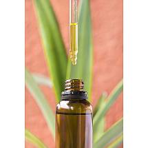 BIO Rakytníkový olej CBD 5%, 10ml