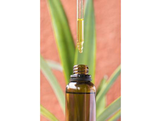 BIO Rakytníkový olej CBD 5%, 10ml